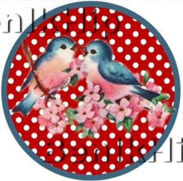 Strijkapplicatie Birdies Strijkapplicatie Birdies
